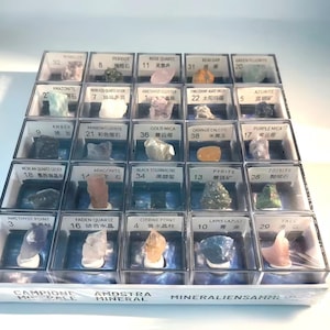25 Mineral Specimen Set | Mini Labeled Crystal Collection (2cm) | Educational Geology Samples | Gift for Kids & Adults | Gemologist Selected