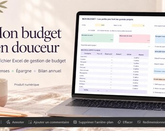 My budget smoothly