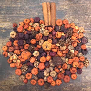 May include: A collection of small decorative items arranged in a pumpkin shape, featuring miniature orange and purple pumpkins, pinecones, and dried fruit slices, topped with three vertical cinnamon sticks as a stem.