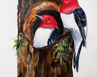 アカゲラ - 鳥のアートプリント - 鳥の水彩画イラスト - 自然の写真