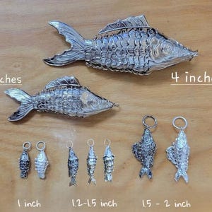 Urok ryby Koi