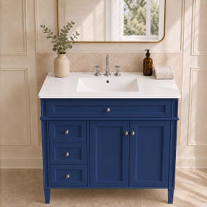 May include: A navy blue bathroom vanity featuring a white countertop with an integrated sink, three stacked drawers on the left, and two cabinet doors on the right. The vanity includes silver hardware, a chrome faucet, and a beige vase with greenery.