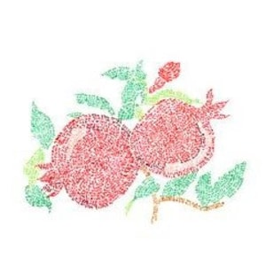 Pomegranate - &quot;Rimonim&quot;