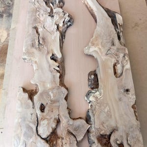 May include: Two irregular, light-colored wooden slabs featuring prominent natural wood grain patterns, dark knots, and raw, organic live edges. The surfaces display a mix of creamy beige and tan tones with deep brown accents throughout the wood.