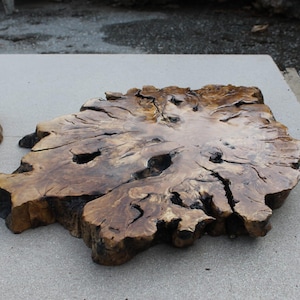 May include: A polished, irregular wooden slab featuring a natural burl grain pattern with deep brown and golden tan hues. The surface displays organic cracks, knots, and a glossy finish, showcasing the raw, textured edges of the tree cross-section.