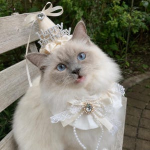 cat birthday dress Outfit Color:Pink-Blue наряд на Хэллоуин для DROP_MAY26-D1 June Bridals Sexy Sleeveless