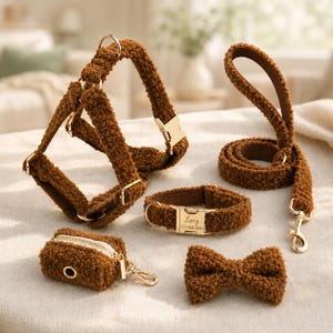 Könnte beinhalten: Ein braunes Teddy-Fleece-Haustier-Set bestehend aus einem Geschirr, einer Leine, einem Halsband mit goldener Schnalle, graviert mit dem Namen Lucy und einer Telefonnummer, einem kleinen Kotbeutelspender und einer passenden Fliege mit Goldbeschlägen.