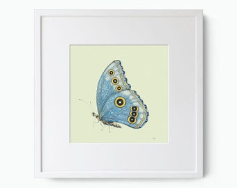 Blue Butterfly Print