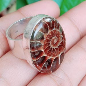 May include: A silver ring featuring a large, oval-shaped polished ammonite fossil centerpiece. The fossil displays a deep reddish-brown spiral pattern with distinct chambers. The metal band is smooth, wide, and polished, providing a clean contrast to the intricate, organic texture of the fossil stone set within the bezel.