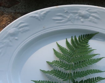 Antique White Ironstone Platter with Wheat Serving Tray Platter Livesley, Powell and Co. English Ironstone China