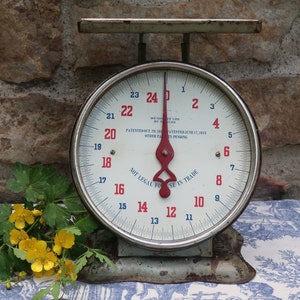 May include: Vintage white and blue kitchen scale with a red pointer. The scale has a chrome face with black numbers and a metal base. The scale reads "Not Legal For Use In Trade" and has the text "Weighs Up To 24 Lbs By 1/2 Oz" on the face. The scale is sitting on a blue and white patterned tablecloth.