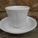 Diane Gill reviewed One Antique White Ironstone Handleless Teacup and Saucer Prairie Flower Minimalist Farmhouse Tea Party English T & R Boote c. 1853