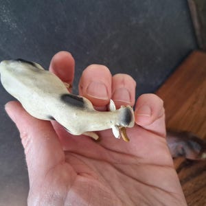 May include: A small, hand-held figurine of a cow with a cream-colored body and black patches. The cow has small, pointed horns and a dark-colored muzzle. The figurine is captured from a top-down perspective, showing the back and head of the animal.