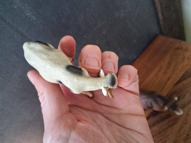May include: A small, hand-held figurine of a cow with a cream-colored body and black patches. The cow has small, pointed horns and a dark-colored muzzle. The figurine is captured from a top-down perspective, showing the back and head of the animal.