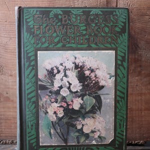 Antique Book &quot;Burgess Flower Book for Children&quot; by Thornton Burgess First Edition May 1923