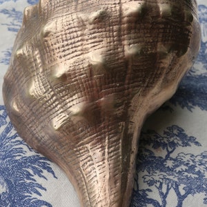 Large Brass Conch Seashell Hollywood Regency Beach House Decor - Etsy