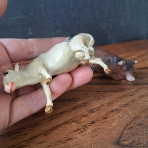 May include: Two small animal figurines, one cream-colored cow with black markings and one brown cow, both depicted in a lying position. The cream cow is held in the palm of a hand, while the brown cow is positioned on a wooden surface nearby.