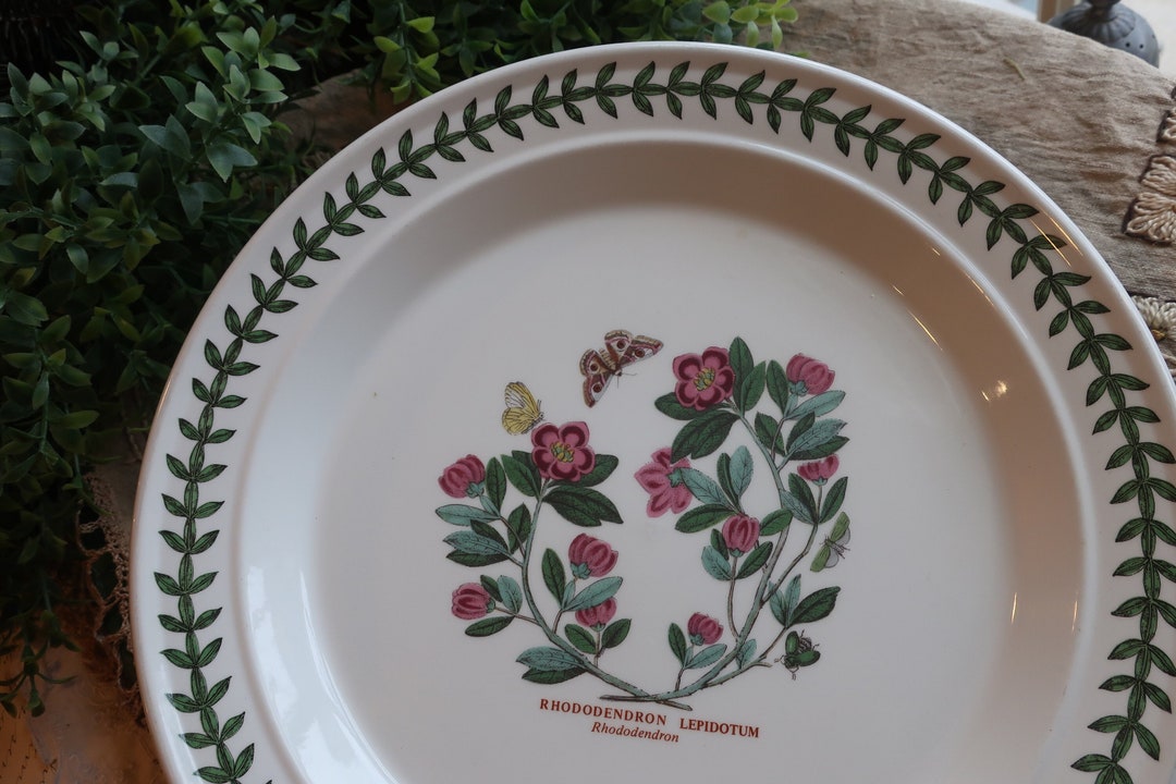 Vintage Portmeirion Dinner Plate, Botanic Garden, Rhododendron