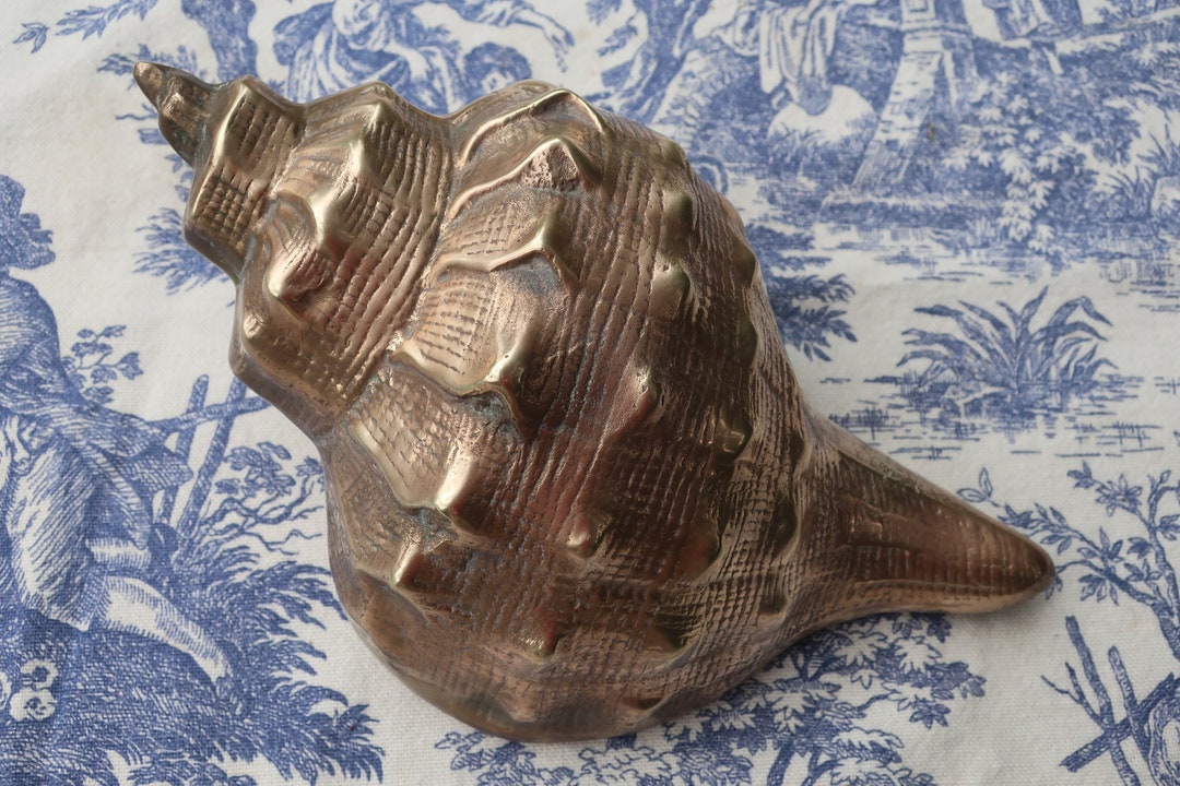 Large Brass Conch Seashell Hollywood Regency Beach House Decor - Etsy