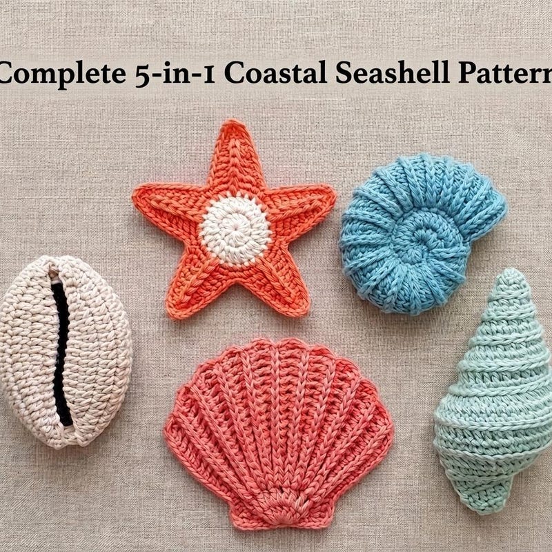 Small Cowries Small Sealife Wall Decor - Etsy UK