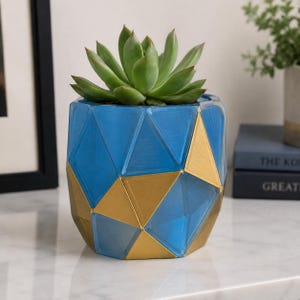 May include: A succulent plant potted in a geometric planter featuring a faceted surface with alternating blue and metallic gold triangular panels. The planter has a cylindrical shape with a smooth finish and a distinct angular, multi-sided design.