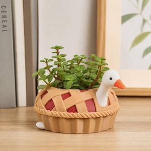 Peut inclure: Un pot de fleurs rond en forme de tarte avec une croûte en treillis et une tête d'oie blanche au bec orange émergeant du côté. Le pot contient une petite plante succulente verte aux feuilles arrondies, formant un contenant décoratif.