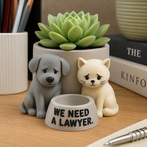 Vaso per piante grasse divertente con gatto, cane e avvocato, stampato in 3D, decorazione da scrivania con umorismo sugli animali domestici dipinta a mano, regalo unico per gli amanti delle piante