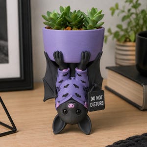 Può includere: Una statuetta di pipistrello nero appesa a testa in giù che regge un vaso viola contenente una pianta succulenta verde. Il pipistrello indossa un pigiama viola con motivi di pipistrelli e tiene un cartello nero con la scritta DO NOT DISTURB.