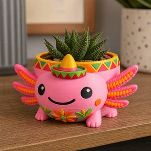 May include: A pink axolotl-shaped planter featuring a small sombrero on top, orange and green floral accents, and bright orange external gills. The planter holds a green succulent plant and has a decorative band with a geometric pattern.