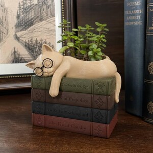 May include: A beige cat figurine wearing black wire-rimmed glasses, resting on a stack of four books titled The Catcher in the Rye, Pride and Prejudice, To Kill a Mockingbird, and The Great Gatsby. A small green succulent plant grows from the cat's back.