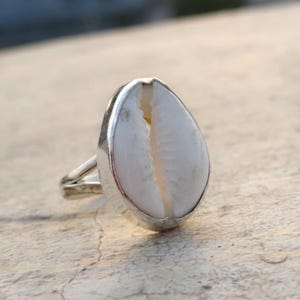 Può includere: Un anello in argento con una conchiglia di ciprea bianca come punto focale centrale. La conchiglia ha una forma liscia e arrotondata con una caratteristica fessura centrale. La fascia in argento lucido sostiene la conchiglia in una montatura.