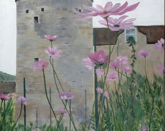 Chateau Field of Cosmos