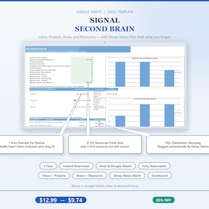 PARA Method Second Brain for Excel & Sheets | Knowledge Base with Automatic Decay Status Alert
