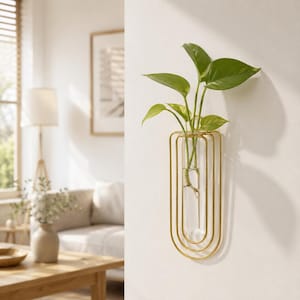 Puede incluir: Una estación de propagación de plantas para pared con un tubo de ensayo de vidrio transparente dentro de un marco de metal dorado. El marco consta de tres bucles de alambre rectangulares y redondeados concéntricos. Un tallo verde está dentro.
