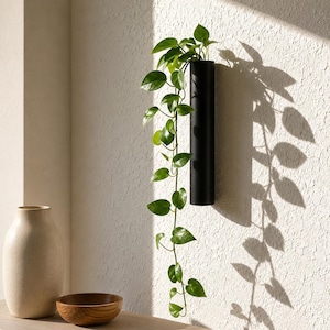 Puede incluir: Una maceta cilíndrica de pared en color negro mate que contiene una planta potos verde colgante con hojas en forma de corazón. La planta se extiende hacia abajo desde el tubo, proyectando una sombra definida sobre la pared texturizada.