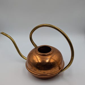 May include: A copper watering can with a rounded body and a long, slender brass spout. The watering can features a high, arched brass handle that extends from the top of the vessel to the base, creating a distinct, curved silhouette.