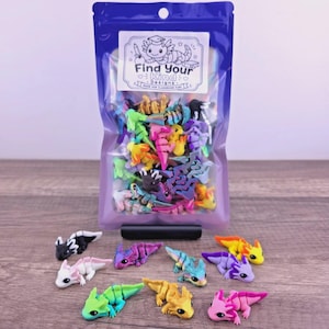 May include: A purple resealable plastic bag filled with small, multi-colored articulated axolotl figures. The label reads Find Your Kind Designs. Several individual axolotl figures in colors including pink, yellow, green, and blue are arranged in front.