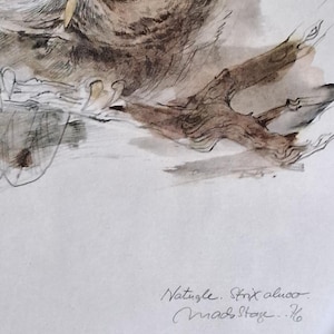 May include: A watercolor painting of a tawny owl with brown and grey feathers, large dark eyes, and a yellow beak, perched on a brown branch. The artwork includes the handwritten text Natugle. Strix aluco. Madstage..76 in the lower right corner.
