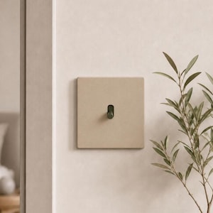 Op de afbeelding: Een vierkante, mat beige lichtschakelaarplaat met een enkele, donkergroene cilindrische tuimelschakelaar in het midden. De schakelaarplaat heeft een glad, vlak oppervlak en is vlak gemonteerd tegen een lichtgekleurde muur.