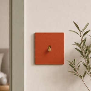 Puede incluir: Una placa de interruptor de luz cuadrada de color terracota con un interruptor de palanca de latón en el centro. La placa tiene un acabado mate y texturizado, montada sobre una pared lisa, ofreciendo una interfaz funcional de luz.