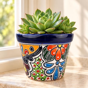 May include: A vibrant, hand-painted ceramic flower pot featuring a deep blue rim and a colorful exterior pattern of orange flowers, blue petals, and green cross-hatching. A large, healthy green succulent plant with pointed leaves sits inside the pot.
