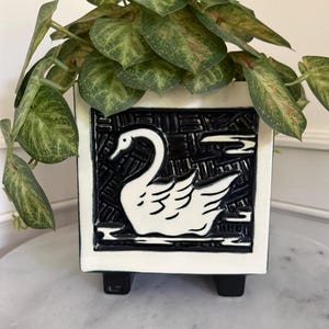 May include: A square ceramic planter with a white border and a black central panel featuring a raised white swan relief. The planter is supported by four small black feet and contains a green leafy plant with variegated foliage.