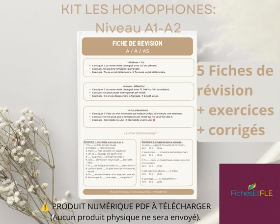 French as a Foreign Language (FLE) Homophones Kit A1-A2 - 5 French Grammar Sheets (a/à, est/et, son/sont...), Exercises and Answer Key Included - Printable PDF