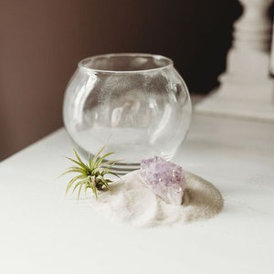 Amethyst Cluster Terrarium Kit with Tillandsia Air Plant