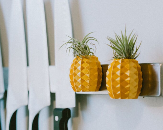 Gold Pineapple Air Plant Holder Etsy