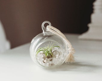 Mini Clear Rock Quartz Orb DIY Terrarium Kit | Air Plant Kit | Air Plant Gift | Hanging Air Plant | Air Plant Gift | Stocking Stuffer