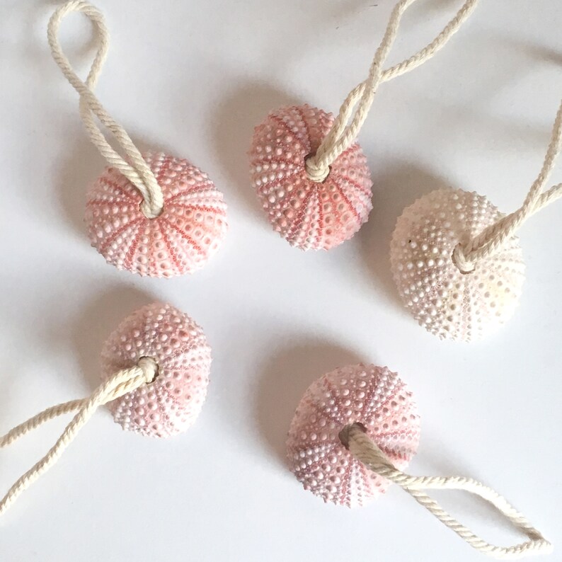 Sea Urchin Ornament With Nautical Rope Christmas Tree Etsy