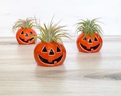 Ceramic Jack-O-Lantern Air Plant Holder Halloween Decor Halloween Gift Spooky Desk Decor Orange Pumpkin Air Plant Holder Gift Set