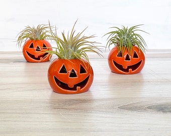 Może przedstawiać: Trzy pomarańczowe ceramiczne doniczki w kształcie dyni z powietrznymi roślinami. Każda doniczka ma wyrzeźbioną twarz jack-o'-lantern.