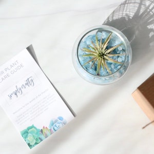 Może przedstawiać: Szklany terrarium w kształcie kuli z małą rośliną powietrzną i niebieskimi szklanymi kamieniami. Terrarium stoi na białej powierzchni. Karta z tekstem "Air Plant Care Guide" i "simply crafty" znajduje się w lewym dolnym rogu obrazu.